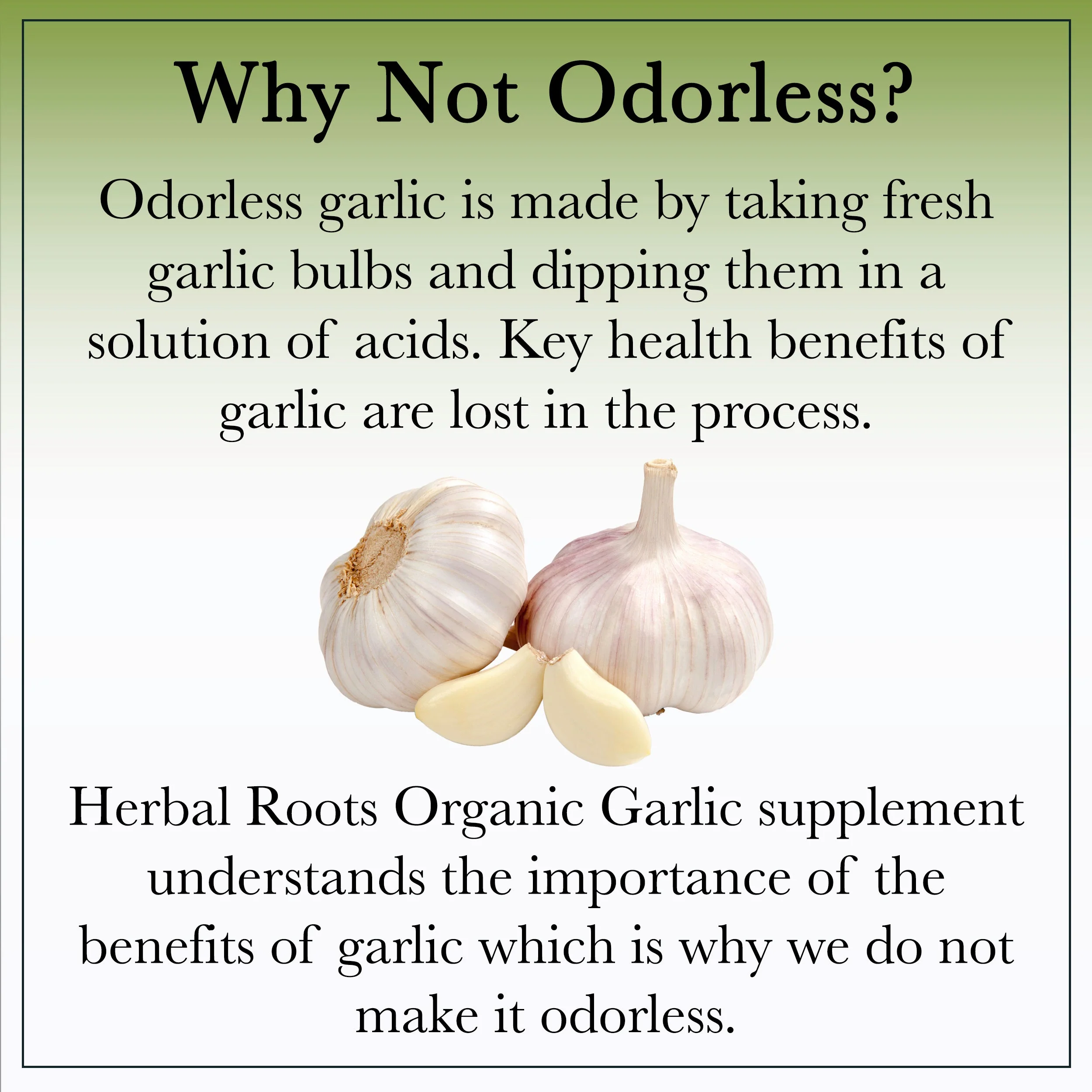 Organic Whole Bulb Garlic - Image 7