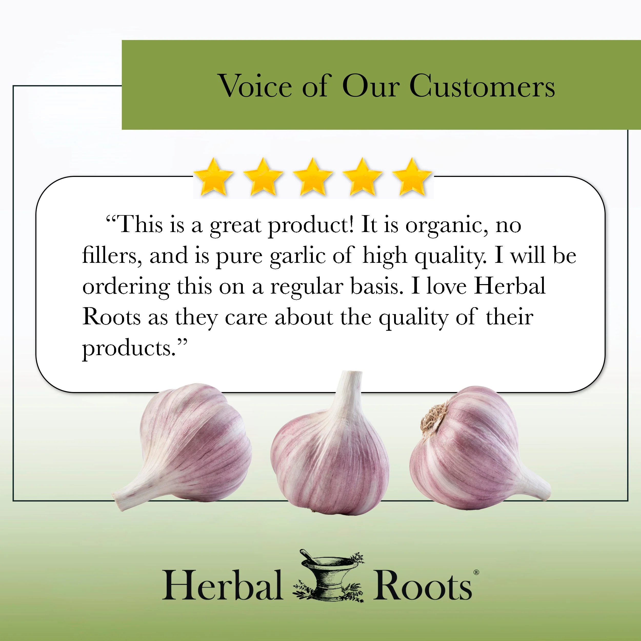 Organic Whole Bulb Garlic - Image 8