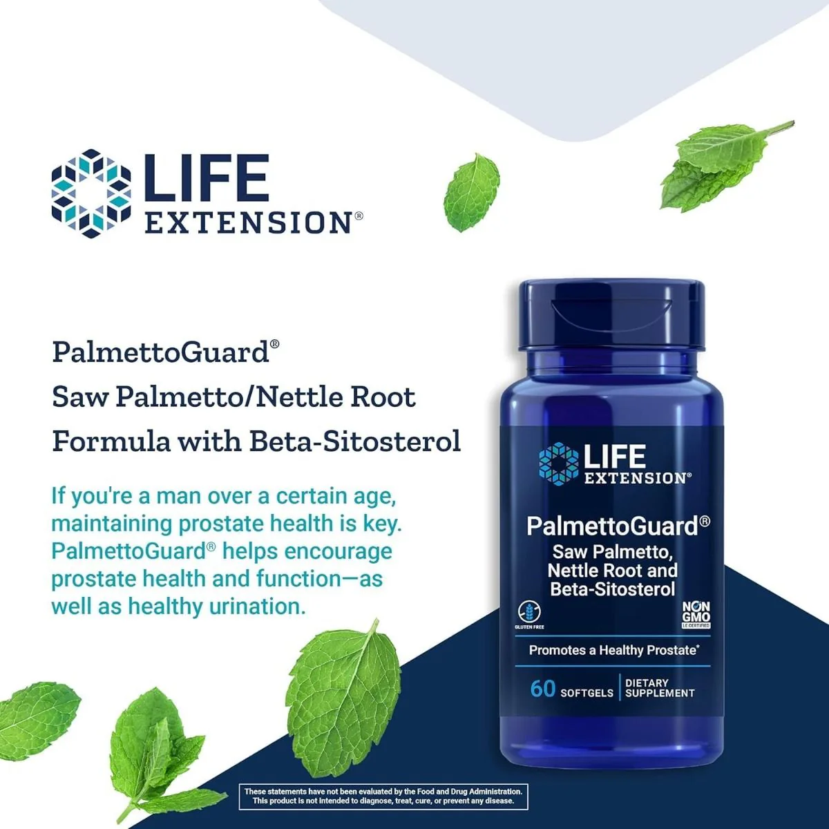 PalmettoGuard Saw Palmetto/Nettle Root Formula with Beta-Sitosterol - Image 7