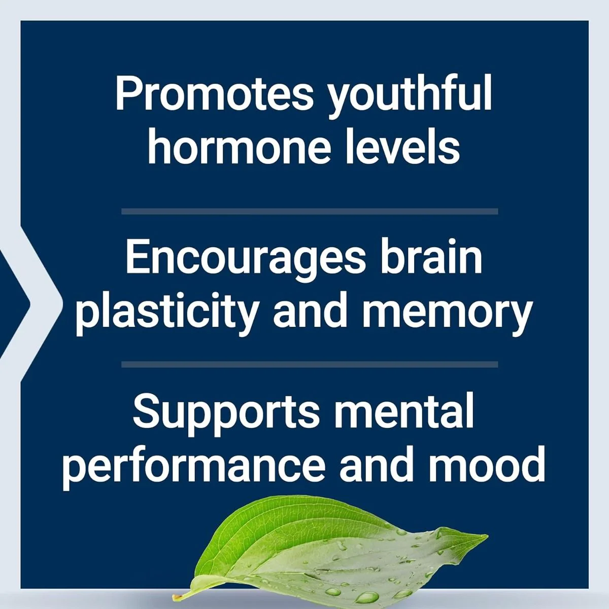 Pregnenolone 100 MG 100 Capsules - Image 8