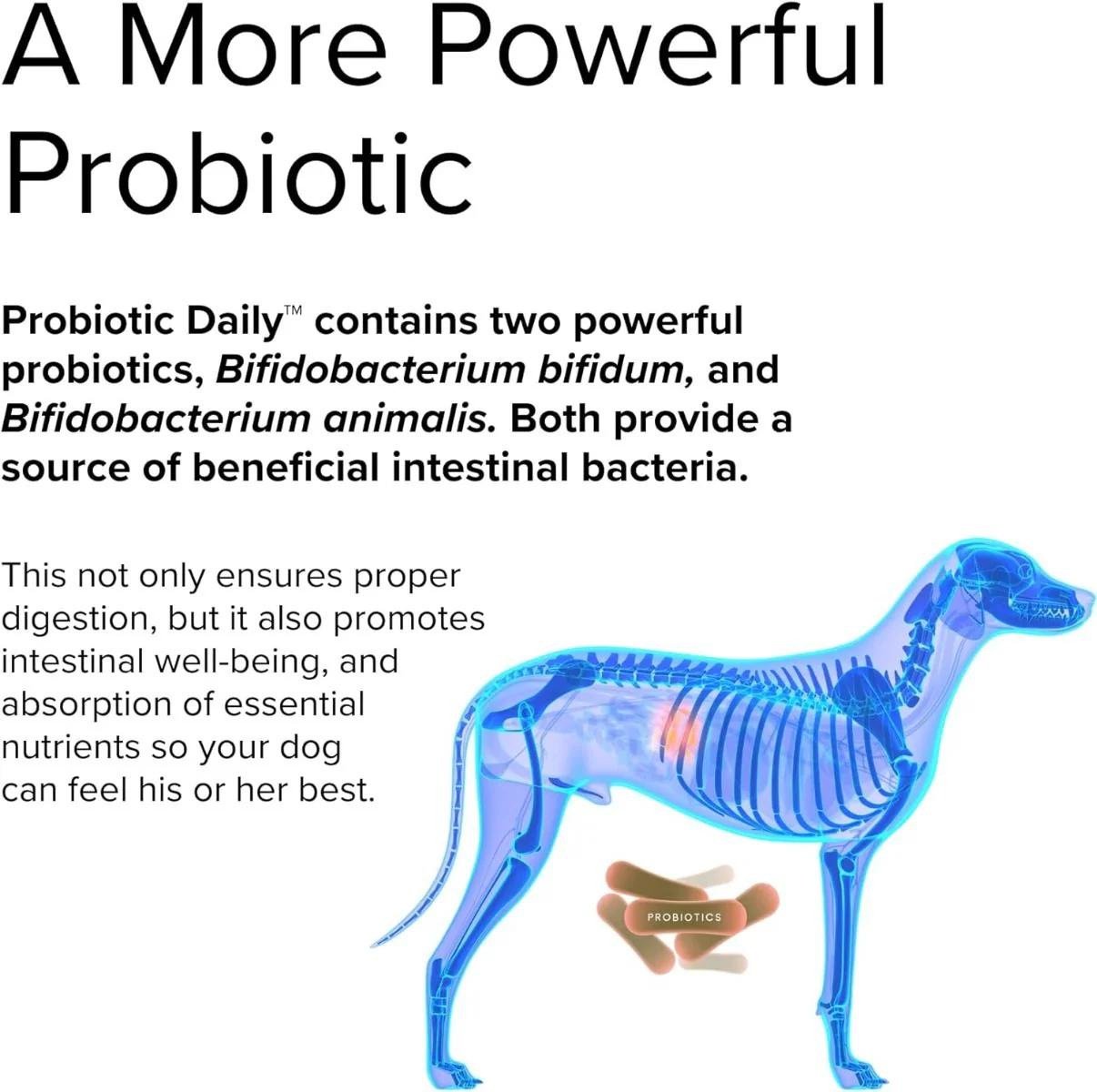Probiotic Daily (For Dogs!) 60 Chewable Tablets - Image 5