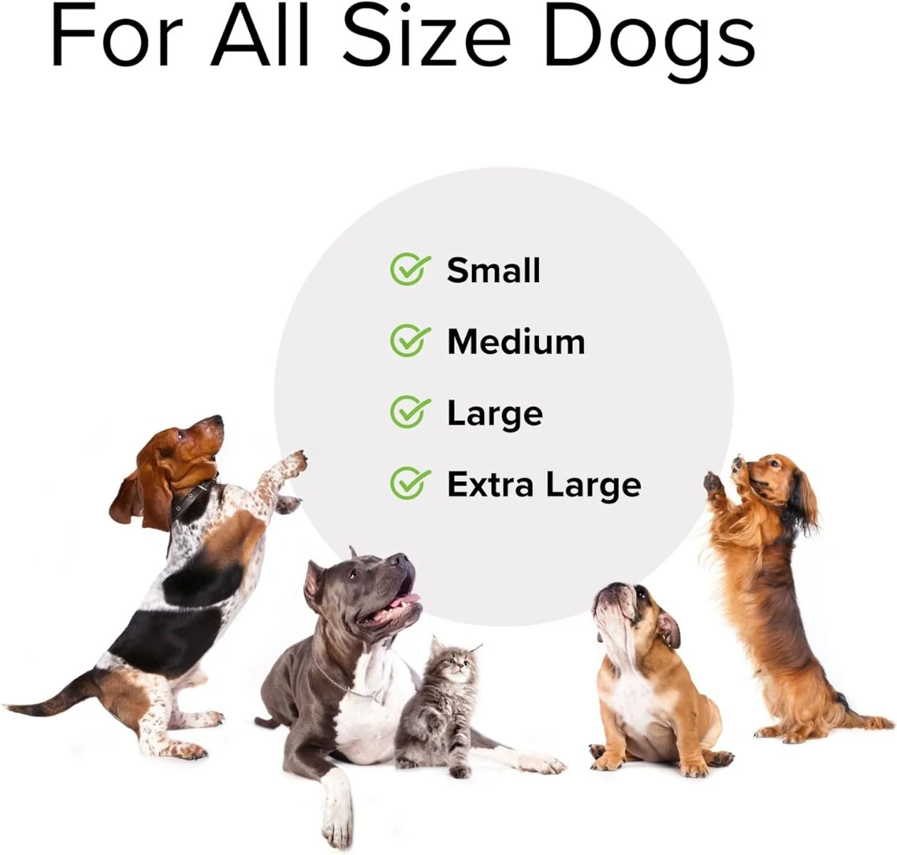 Probiotic Daily (For Dogs!) 60 Chewable Tablets - Image 6