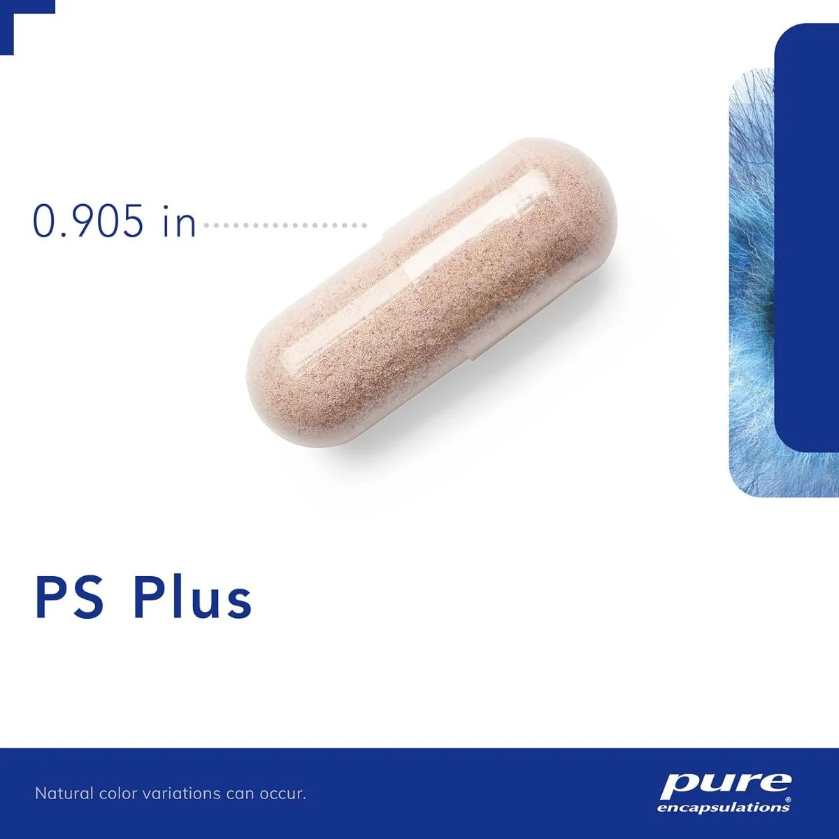 PS Plus 60 Veggie Caps - Image 3