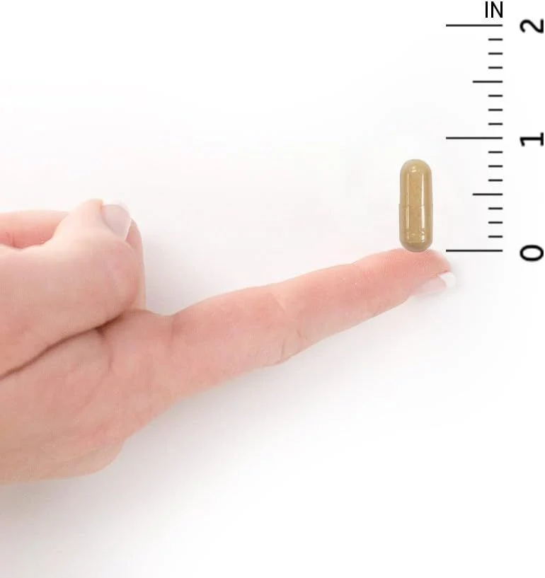 RAW Probiotics Colon Care Shelf Stable 50 Billion 30 Veggie Caps - Image 3