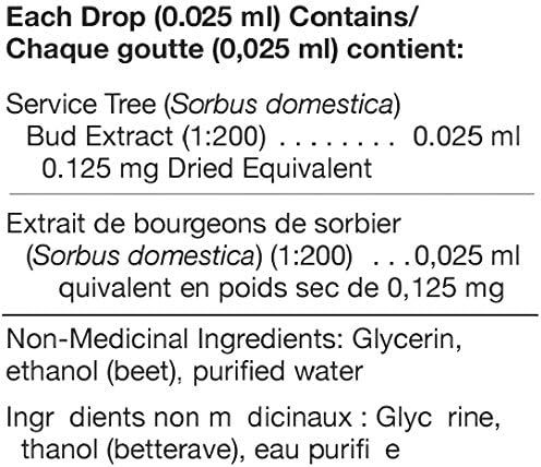 Sorbus Domestica 4.2 Oz (125ML)Liquid - Image 4