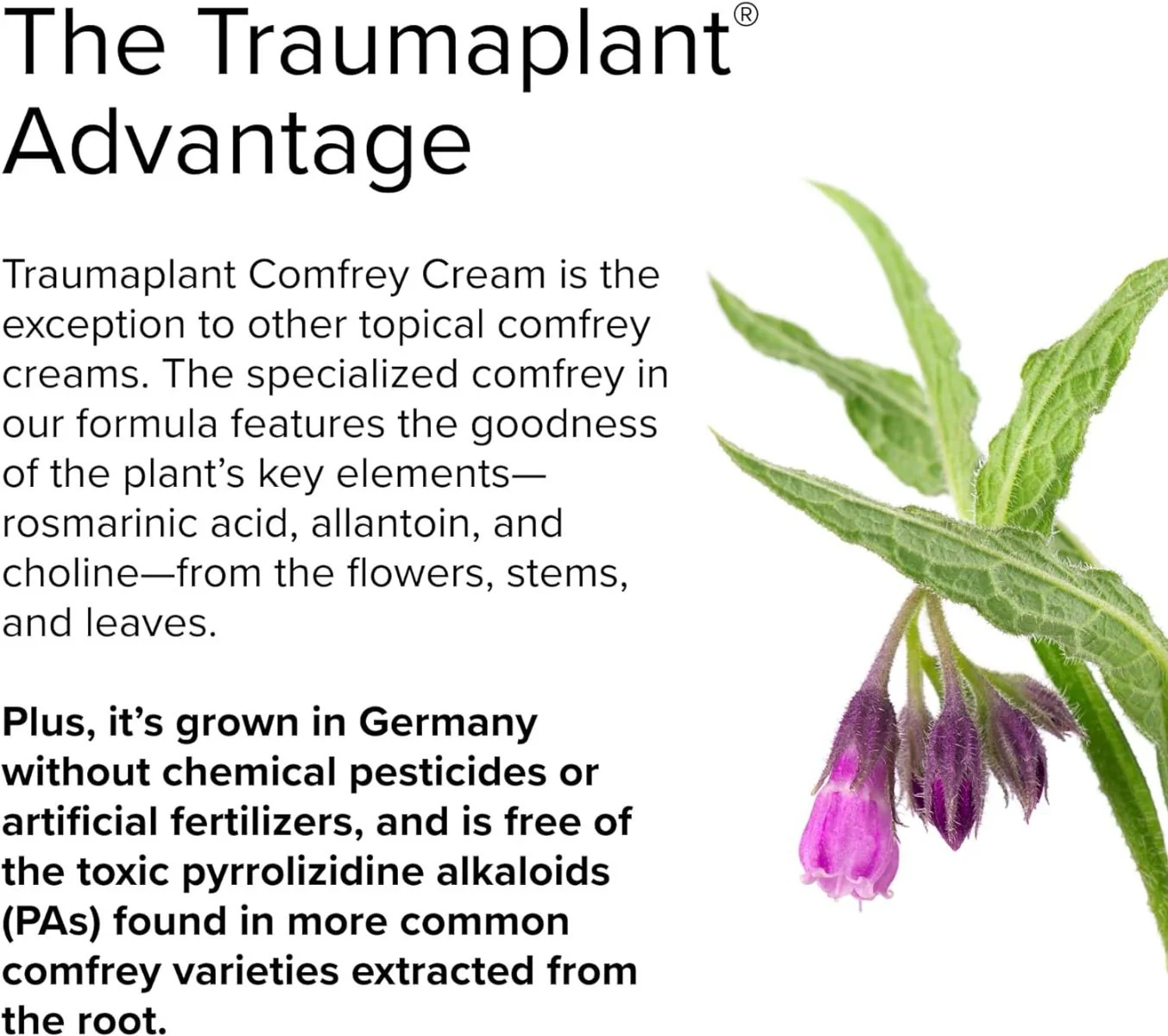 Traumaplant Comfrey Cream 3.53 Oz Cream - Image 5
