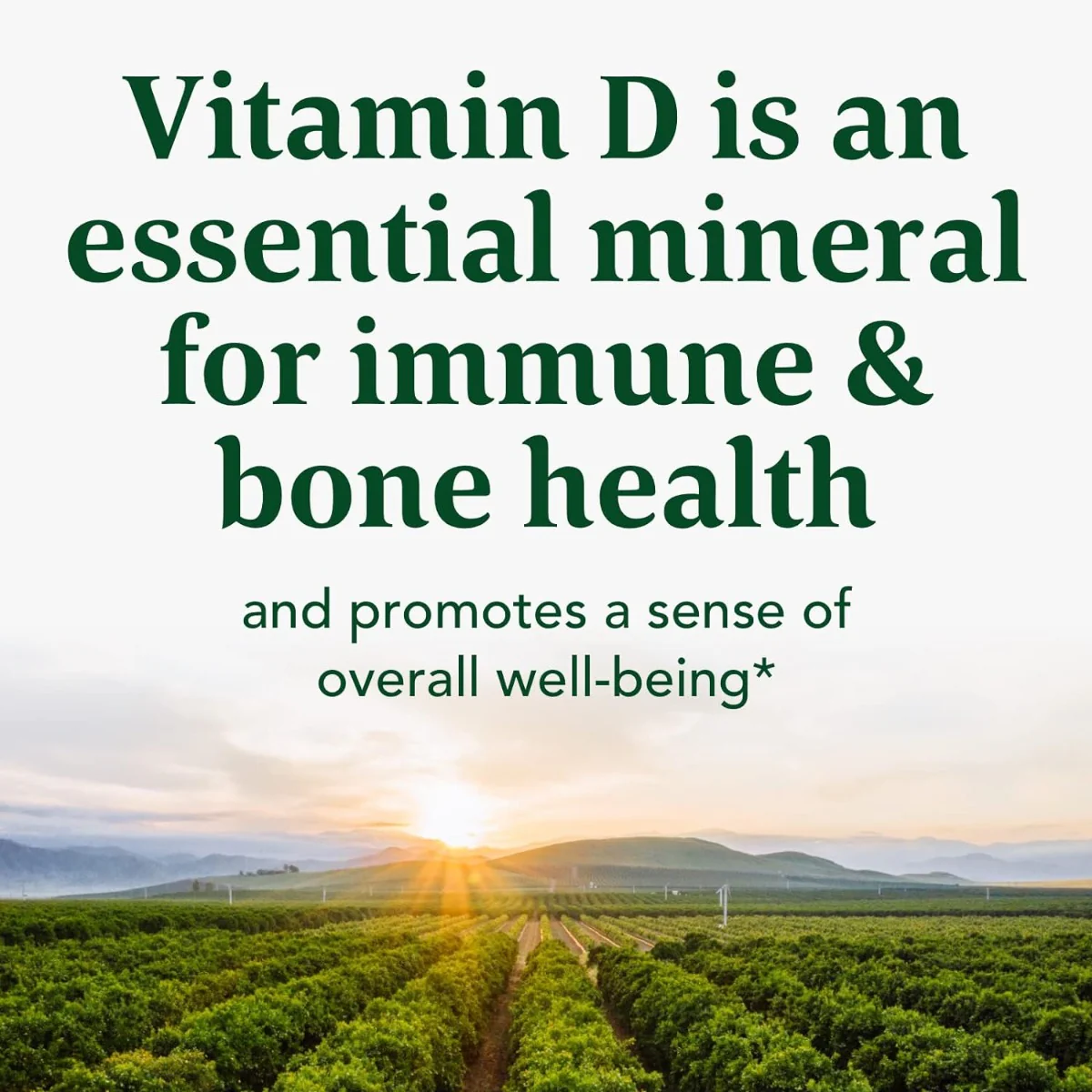 Vitamin D3 1000 IU 90 Tablets - Image 4