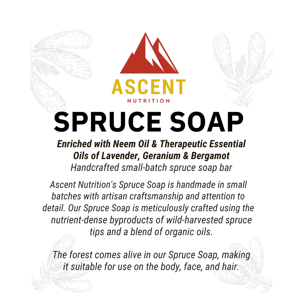 Wild-Harvested Spruce Soap, 6 oz Bar - Image 2